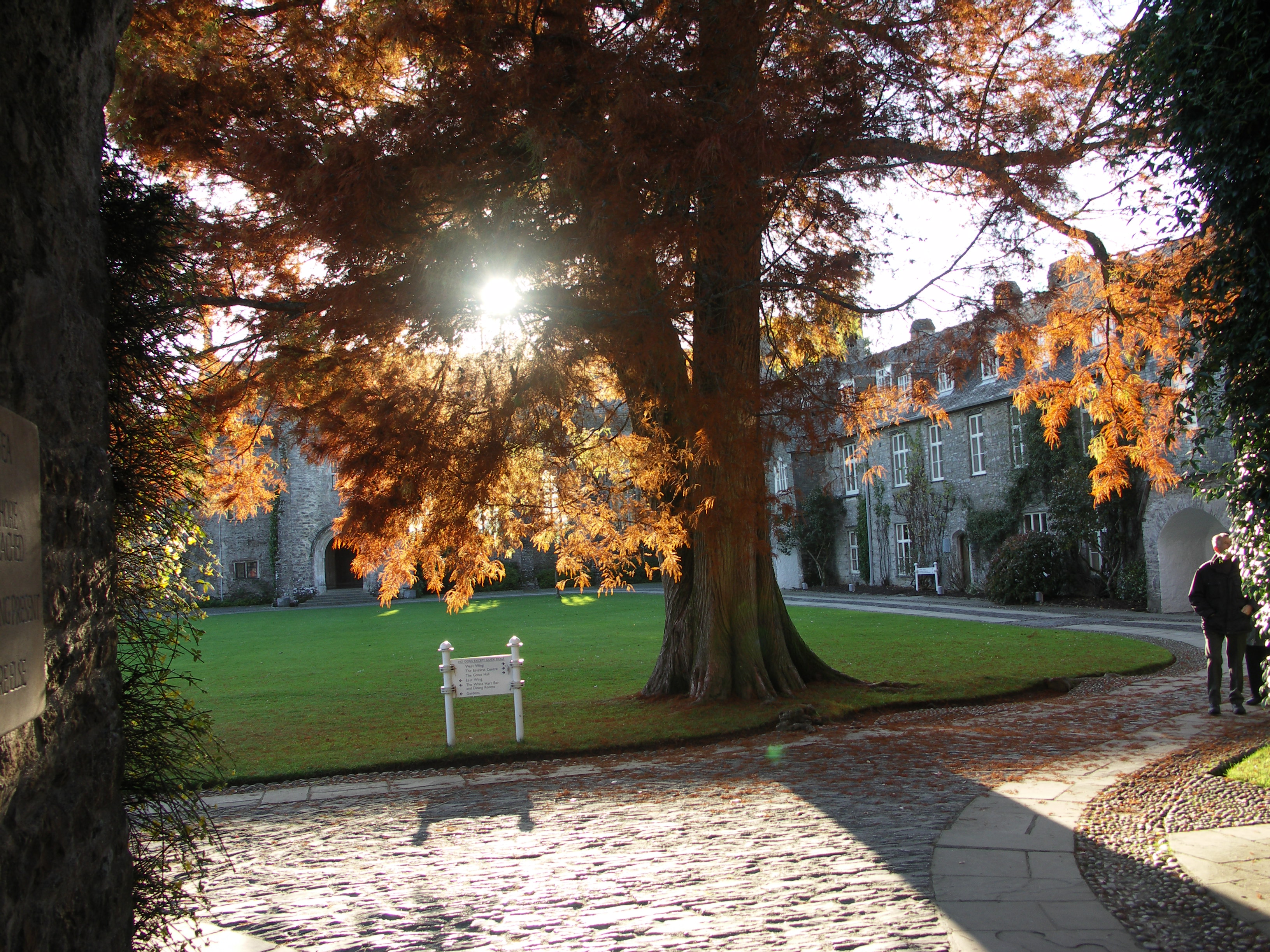 Dartington Hall Autumn View